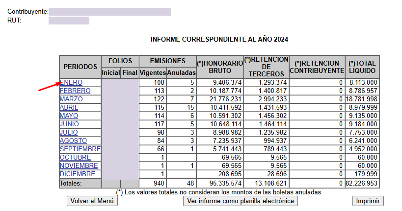 Informe anual de boletas de 2024 con meses enlazados y columnas de vigentes, anuladas, bruto, retenciones y líquido