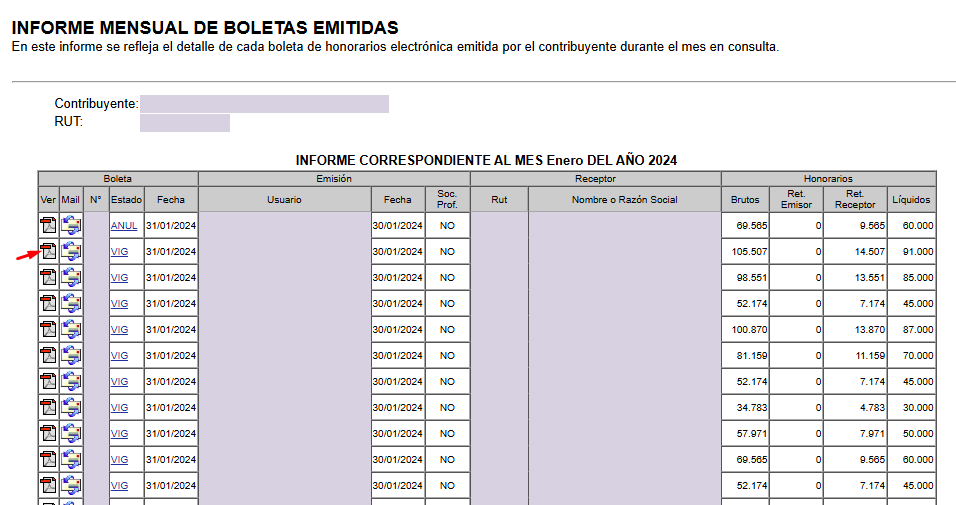 Informe mensual de enero de 2024 con columnas Ver, Mail, número, estados VIG y ANUL y montos